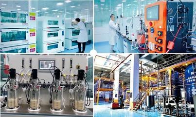 從營銷驅動到自主研發 漢和生物如何借力信息技術服務構建高效合成生物學細胞工廠